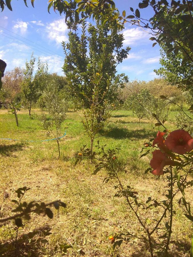 Panorama Palaiοpolis Otel Palaiopoli  Dış mekan fotoğraf